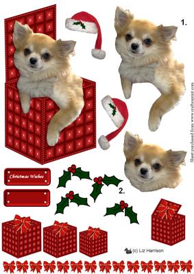 Chihuahua Christmas Box