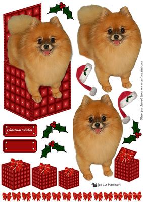 Pomeranian Christmas Box