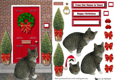 Christmas Door with Tabby Cat