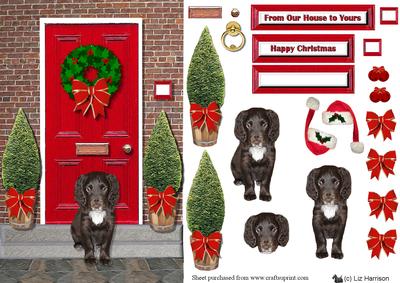 Christmas Door with Spaniel Puppy