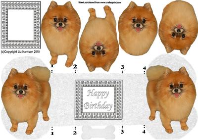 Pomeranian Bone Shaped Card