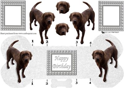 Chocolate Labrador Bone Shaped Card