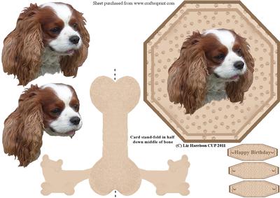 Cavalier King Charles Spaniel Plate Shaped Card & Stand