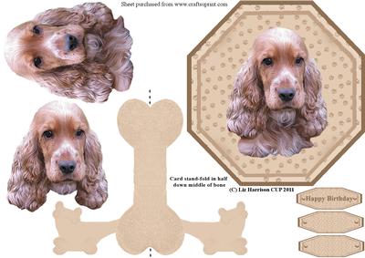 Golden Cocker Spaniel Plate Shaped Card & Plate