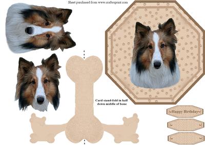 Collie Plate Shaped Card with Stand
