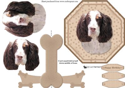 Springer Spaniel Plate Shaped Card & Stand