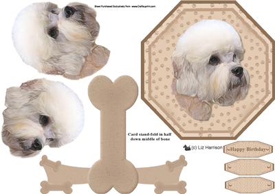 Dandie Dinmont Plate Shaped Card & Stand