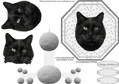 Black Cat Plate Shaped Card and Stand