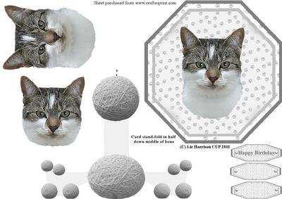 Cat Shorthaired Plate Shaped Card with Stand