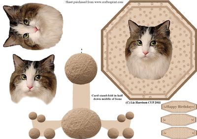 Cat Longhaired Plate Shaped Card with Stand