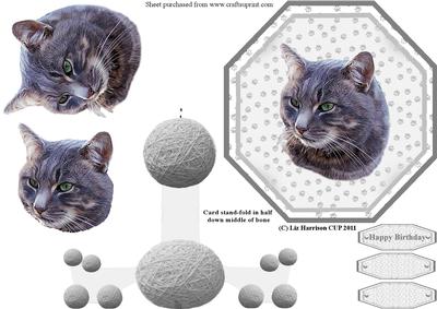 Grey Tabby Cat Plate Shaped Card & Stand