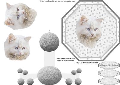 Persian Cat Plate Shaped Card & Stand