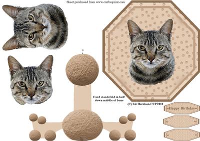 Tabby Cat Plate Shaped Card & Stand