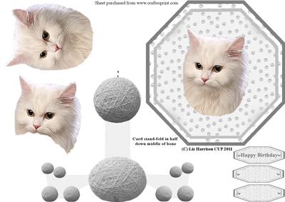 White Fluffy Cat Plate Shaped Card & Stand