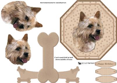 Norwich Terrier Plate Shaped Card & Stand