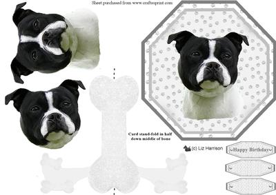 Staffordshire Bull Terrier,b & W, Plate Shaped Card & Stand