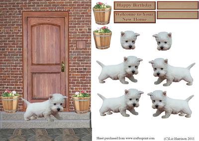 Westie Puppy on a Doorstep