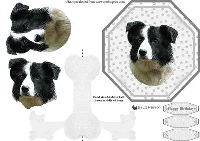 Border Collie Plate Shaped Card & Stand