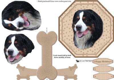 Bernese Mountain Dog Plate Shaped Card Stand