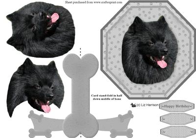 German Spitz Plate Shaped Card & Stand