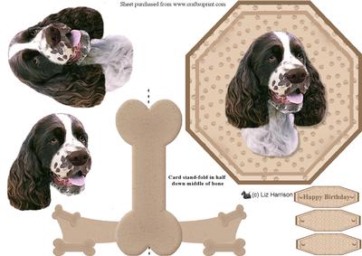 Springer Spaniel Plate Shaped Card & Stand