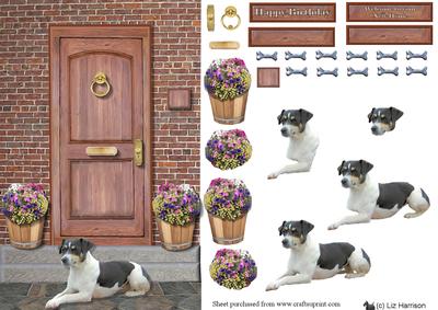 Jack Russell Terrier on a Door Step