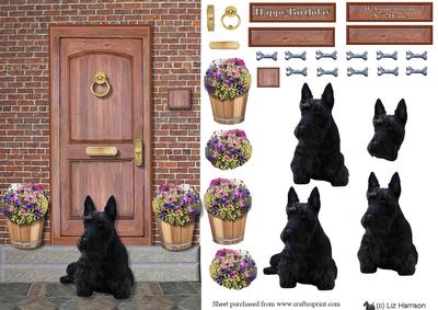 Scottish Terrier on a Door Step