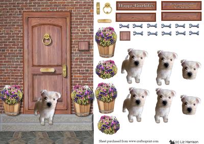 West Highland Puppy on a Door Step