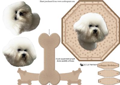 Bichon Frise Plate Shaped Card & Stand