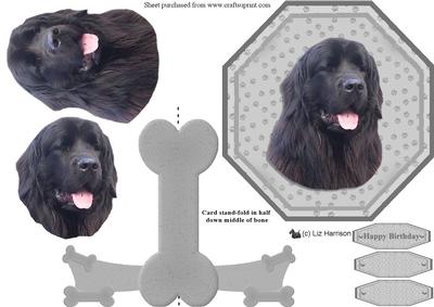 Black Newfoundland Plate Shaped Card & Stand