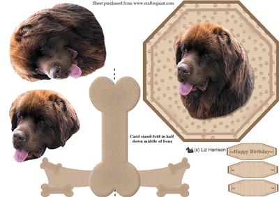Chocolate Newfoundland Plate Shaped Card & Stand