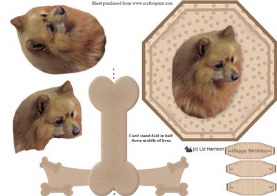 German Spitz Plate Shaped Card & Stand