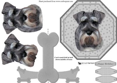 Miniature Schnauzer Plate Shaped Card & Stand