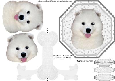 Samoyed Puppy Plate Shaped Card & Stand