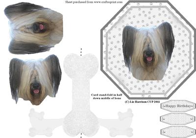 Skye Terrier Plate Shaped Card & Stand