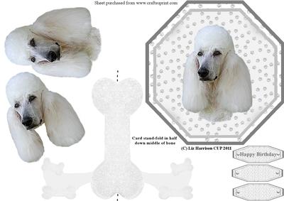 Standard Poodle Plate Shaped Card & Stand