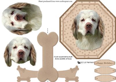 Clumber Spaniel Plate Shaped Card & Stand