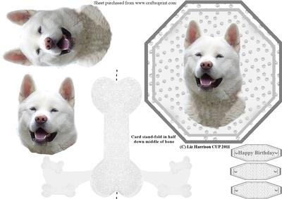 White Akita Plate Shaped Card & Stand