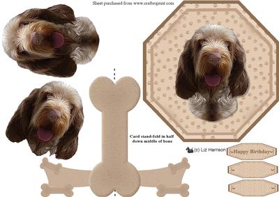 Italian Spinone Plate Shaped Card & Stand
