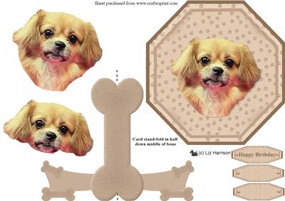 Tibetan Spaniel Plate Shaped Card & Stand