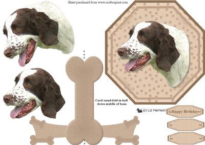 Springer Spaniel Plate Shaped Card & Stand