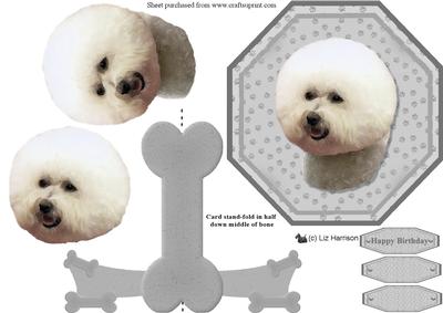 Bichon Frise Plate Shaped Card & Stand