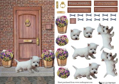 Westie Puppy on a Door Step