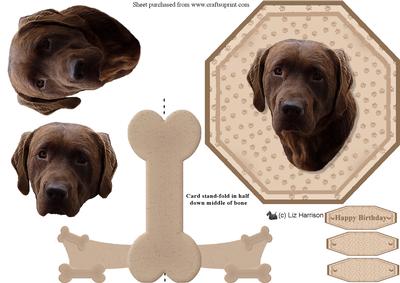 Chocolate Labrador Plate Shaped Card & Stand