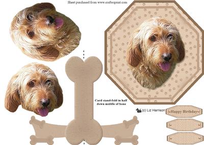 Basset Griffon Vendeen Plate Shaped Card & Stand
