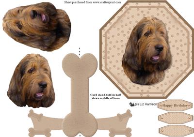 Italian Spinone Plate Shaped Card & Stand