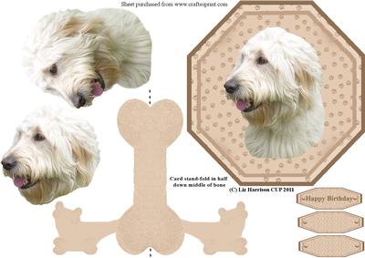 Labradoodle Plate Shaped Card & Stand