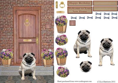 Pug on a Door Step
