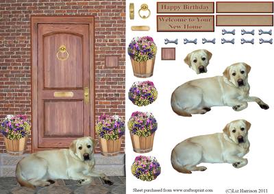 Golden Labrador on a Door Step