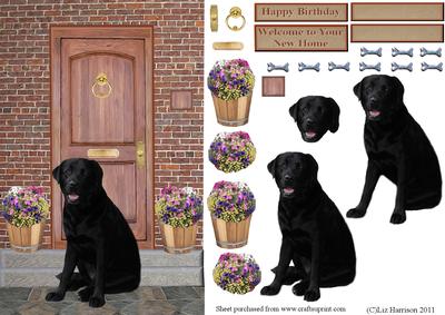 Black Labrador on a Door Step